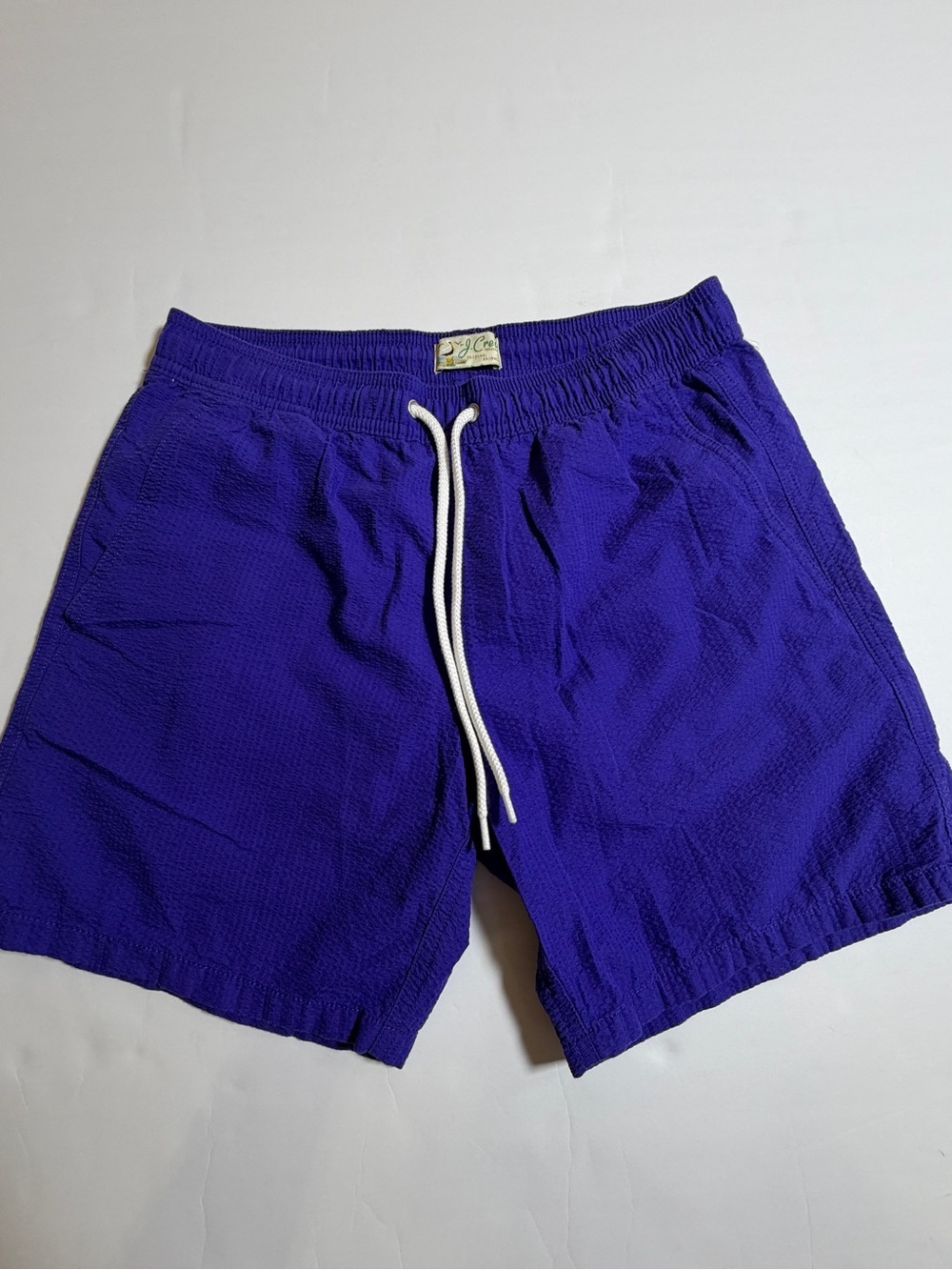 J. Crew Swim Royal Purple Drawstring Shorts with White Cord